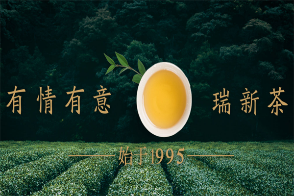 瑞新茶业