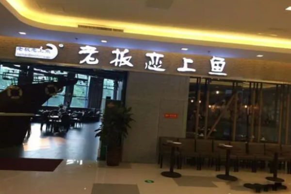 老板爱上鱼