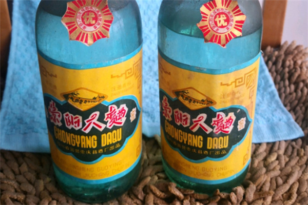 崇阳大曲酒加盟