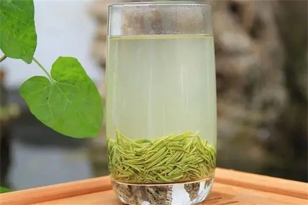 信阳毛尖茶叶加盟