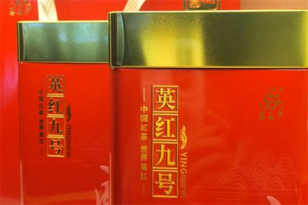 老茶园食品加盟