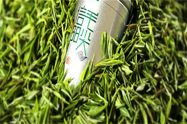 信阳毛尖茶叶加盟