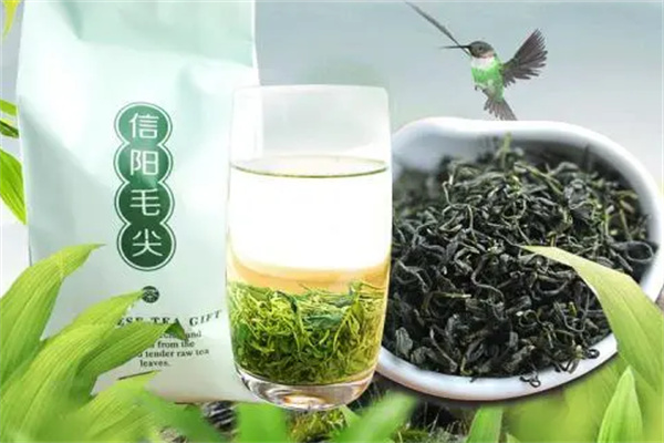 信阳毛尖茶叶加盟
