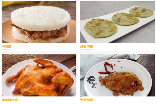 新和盛鸡产品