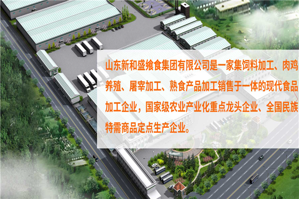 新和盛鸡产品