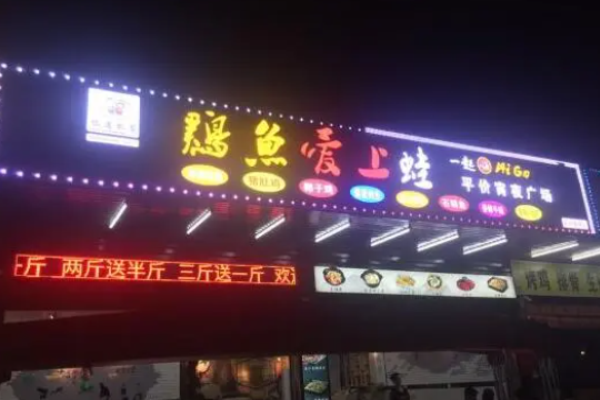 鸡鱼爱上蛙
