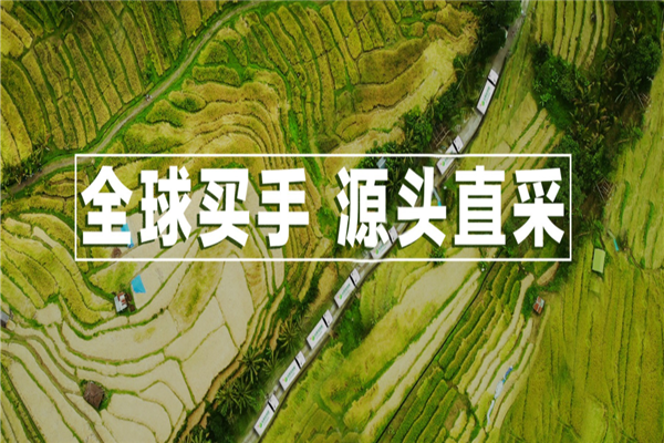 彩食鲜
