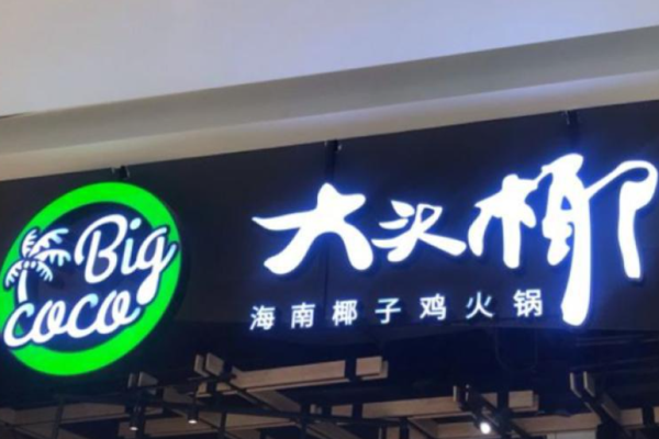 大头椰椰子鸡