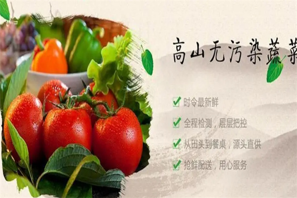 龙鑫蔬菜加盟