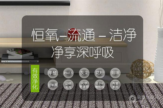 世大新风加盟