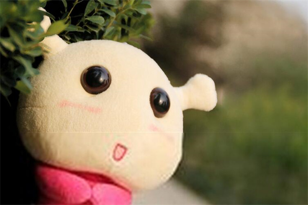 老木工毛绒公仔加盟