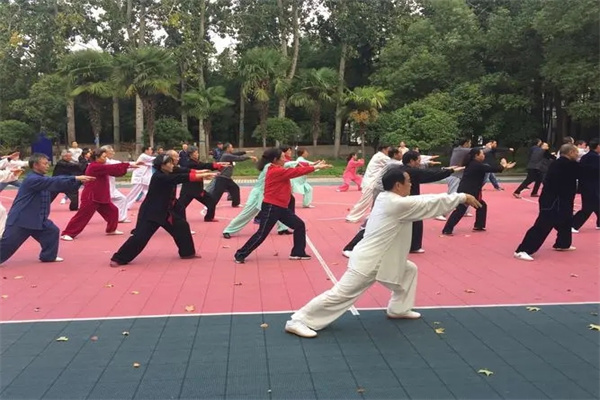 金豹太极拳培训