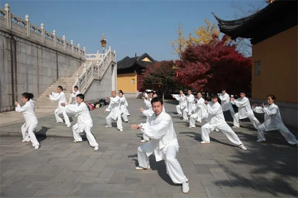 金豹太极拳培训