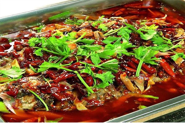 天弘餐饮培训
