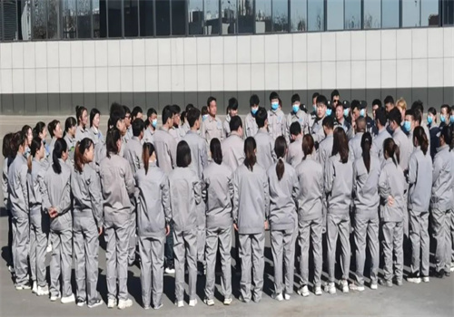 中鼎拓展培训
