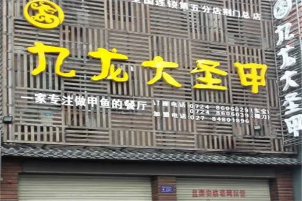 九龙大圣甲