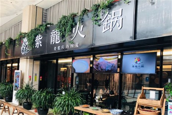 紫龙火锅