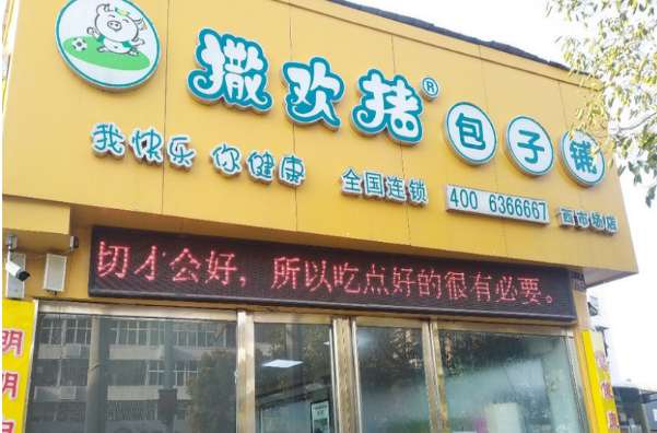 撒欢猪包子