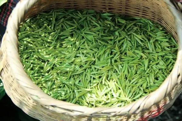 新美茶业