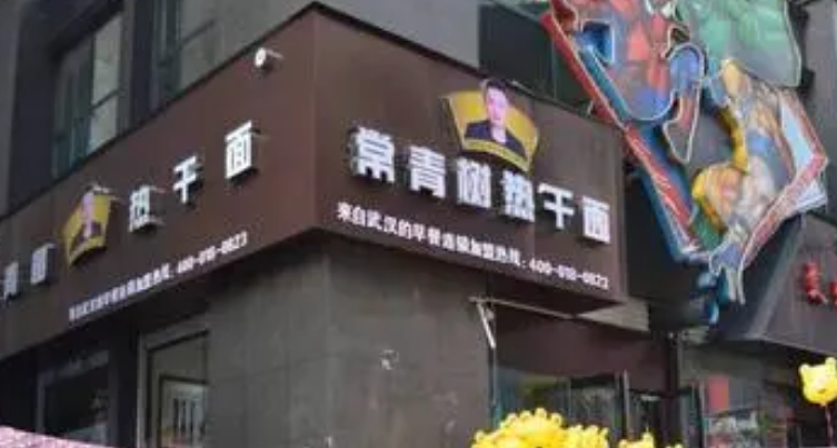 常青树热干面