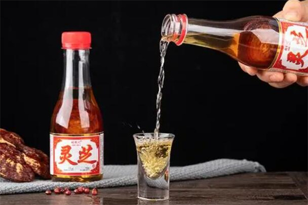 千年灵芝保健酒