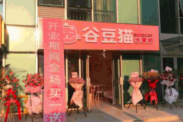 谷豆猫水果捞加盟