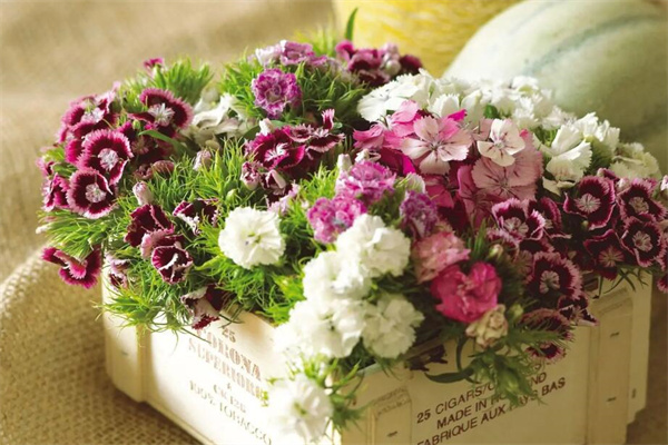 俪缘鲜花