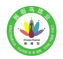 画眉鸟痣业加盟
