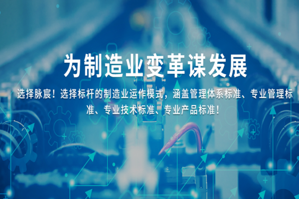 脉宸咨询