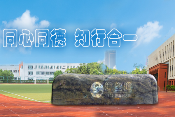道生道咨询