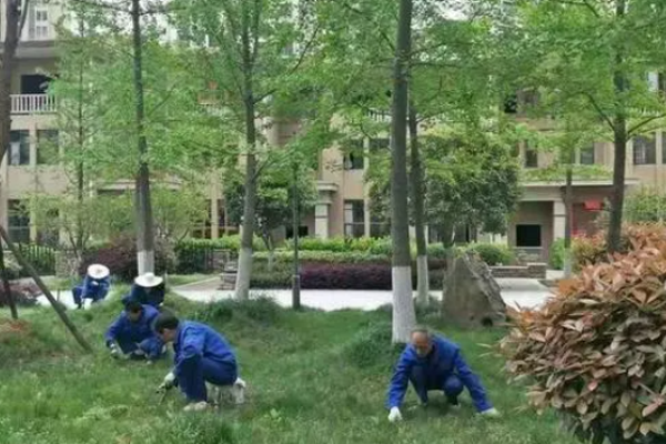 车城物业加盟