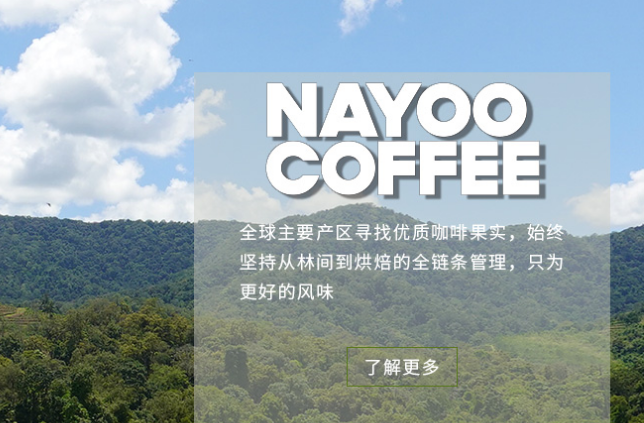 NAYOO哪有