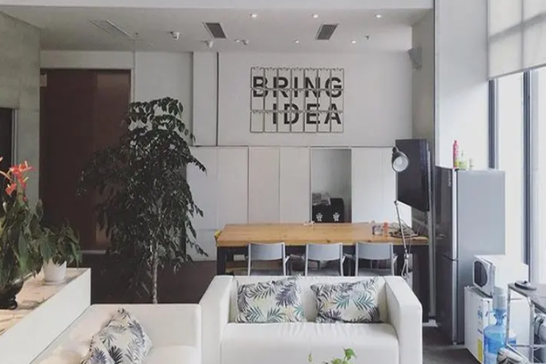 半点Bringidea