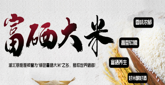 四季松富硒米啤酒