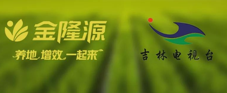 金隆源茶业