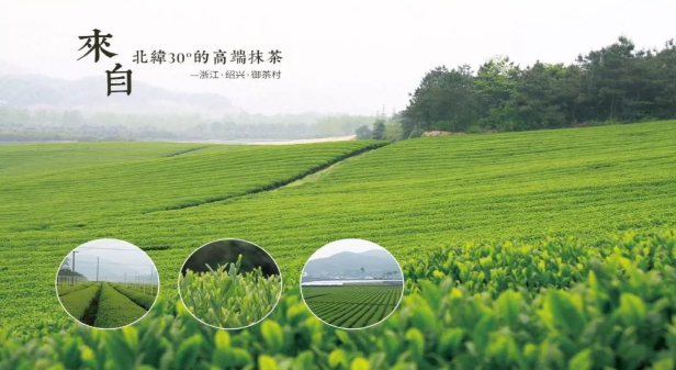抹茶园