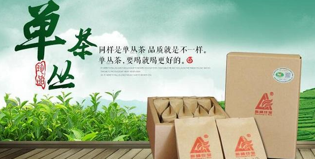 凤凰高峰茶业
