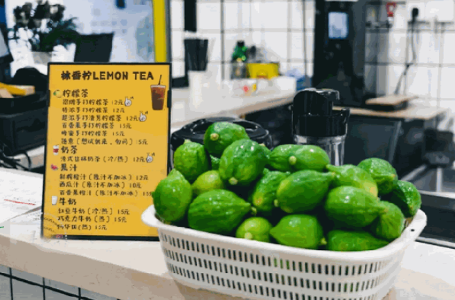 林香柠柠檬茶加盟
