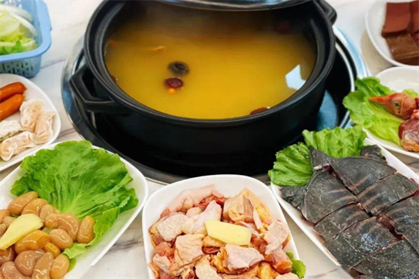 凤校长甲鱼鸡煲
