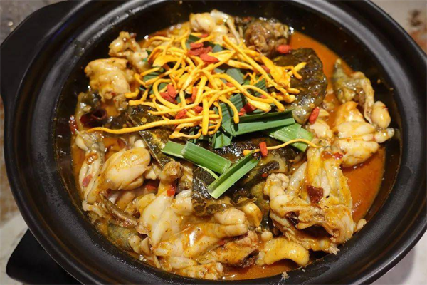 凤校长甲鱼鸡煲