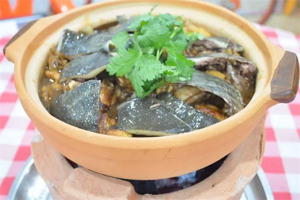 凤校长甲鱼鸡煲