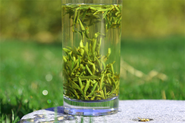 玖茗春茶叶