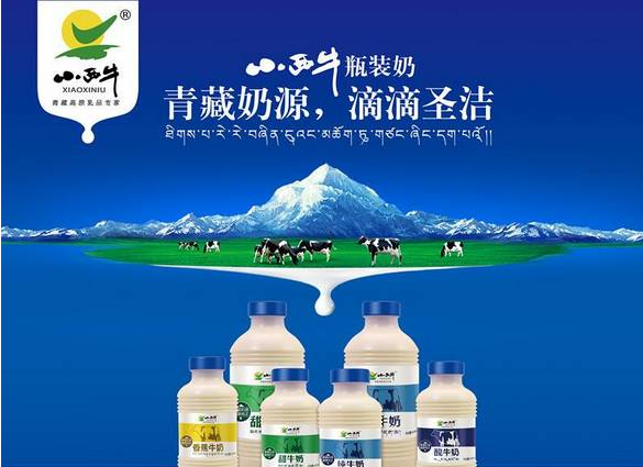 小西牛纯牛奶加盟