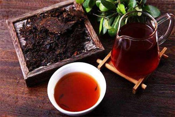 闽川茗茶茶叶