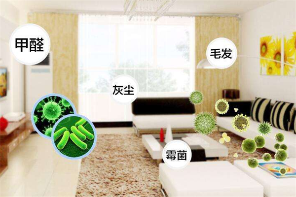 天纬净业室内环保