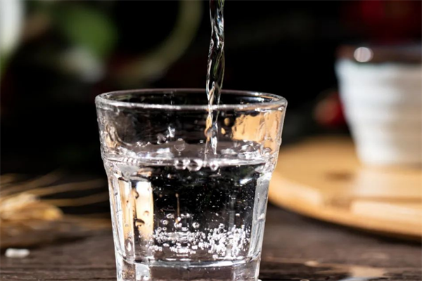 贵人家酒加盟