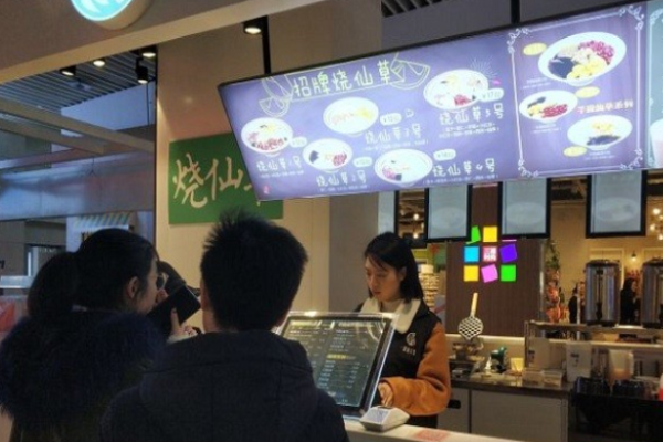 一棵仙儿草