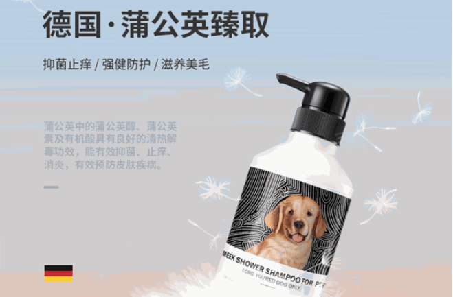 汪星人宠物加盟
