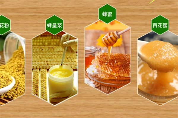 怀瑞蜂产品加盟