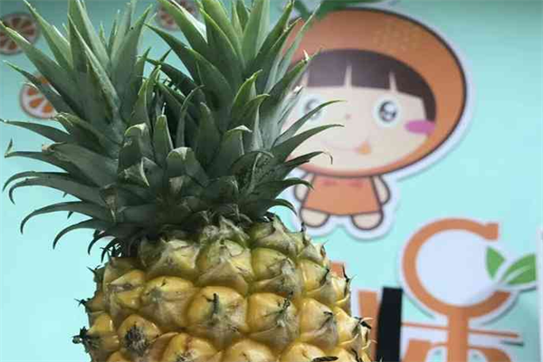 橙小呆水果专卖店